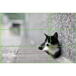 آموزش عکاسی صفر تا صد (قانون یک‌سوم (Rule of Thirds) فصل 42)