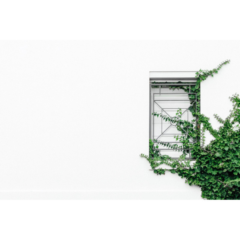 آموزش عکاسی صفر تا صد (استفاده از فضاهای خالی (Negative Space) فصل 45)