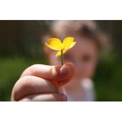 آموزش عکاسی صفر تا صد (نقطه...