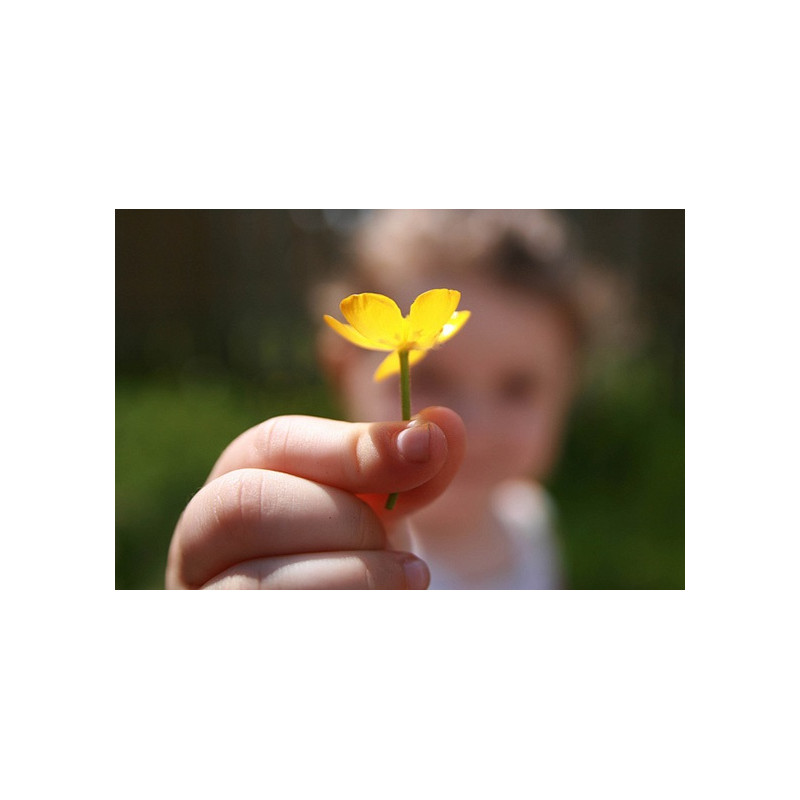 آموزش عکاسی صفر تا صد (نقطه کانونی (Focal Point) در عکاسی  فصل 48)