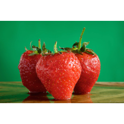 آموزش عکاسی صفر تا صد (رنگ و نقش آن در ترکیب‌بندی در عکاسی  فصل 49)