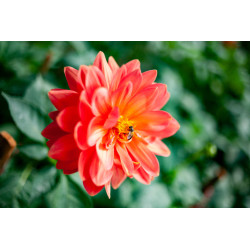 آموزش عکاسی صفر تا صد نقش...