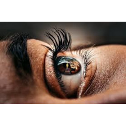 آموزش عکاسی صفر تا صد استفاده از انعکاس‌ها در عکاسی فصل 53