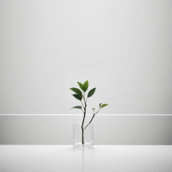 آموزش عکاسی صفر تا صد (ترکیب‌ بندی مینیمالیستی فصل 56)