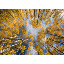 آموزش عکاسی صفر تا صد (عکاسی از زوایای غیرمعمول فصل 58)