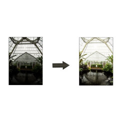 آموزش عکاسی صفر تا صد (اشتباهات رایج در ترکیب‌ بندی فصل 60)