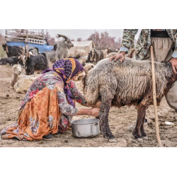 آموزش عکاسی صفر تا صد (عکاسی خبری فصل 63)