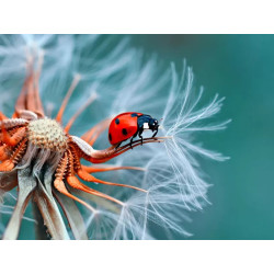 آموزش عکاسی صفر تا صد...