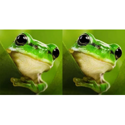 آموزش عکاسی صفر تا صد ادیت...