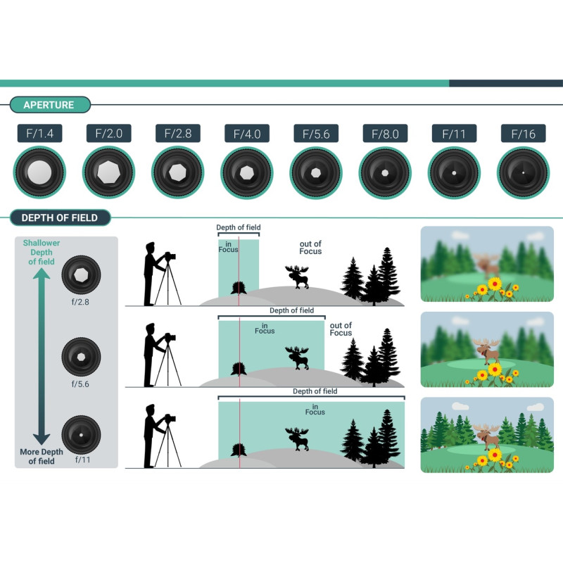آموزش عکاسی صفر تا صد (شناخت عمق میدان (DOF) فصل شانزدهم)