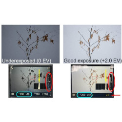 آموزش عکاسی صفر تا صد...